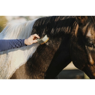 Pessoa a escovar cavalo castanho e branco com escova pequena de cerdas amarelas