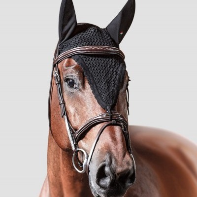 Cavalo castanho com cabeçada de pele castanha e touca preta de malha