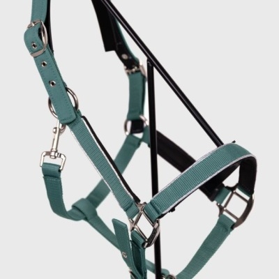Cabresto para cavalo verde com fivelas metálicas