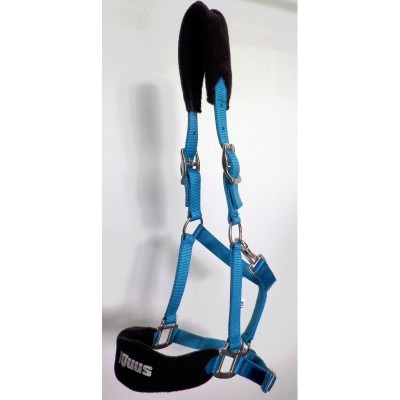 Cabresto para cavalo azul com acolchoamento preto
