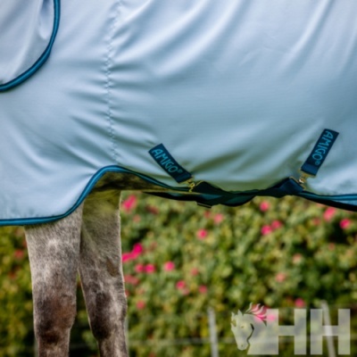 Cobertor branco para cavalo com tiras pretas e azul, sobre cavalo cinzento, fundo com vegetação verde e flores cor de rosa