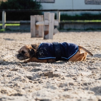 Cão com casaco azul escuro deitado na areia num espaço exterior