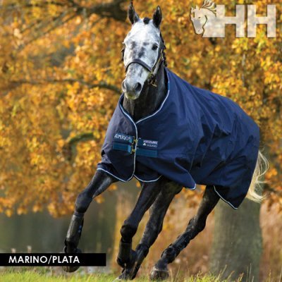 Cobertor para cavalo azul marinho em cavalo cinzento no campo com árvores de outono