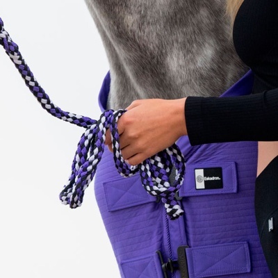 Cavalo com manta roxa e cabresto trançado roxo, preto e branco