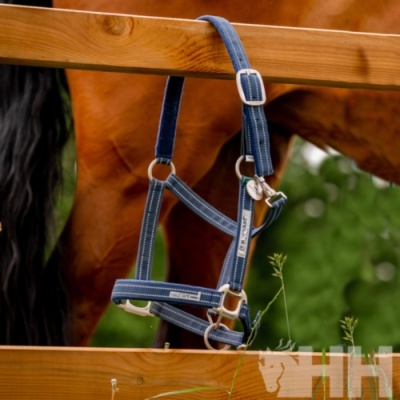 Cabresto azul para cavalo pendurado em cerca de madeira com cavalo castanho atrás
