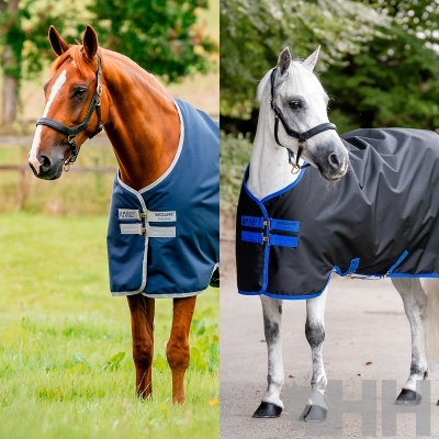 Dois cavalos com mantas AMIGO HORSEWARE IRELAND, um azul escuro e outro preto com detalhes azuis.