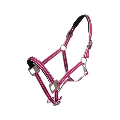 Cabresto para cavalo rosa com riscas, fivelas metálicas e proteção preta
