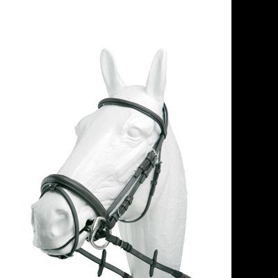 Cabeça decorativa de cavalo com cabresto preto