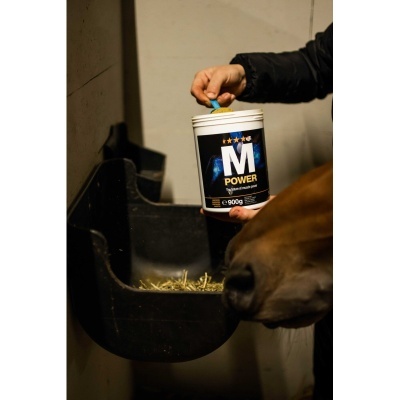Recipiente M Power para suplemento alimentar com cavalo a comer.