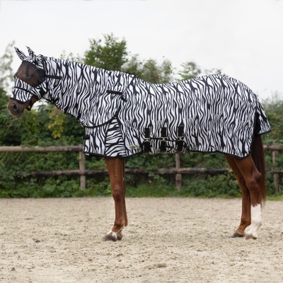 Cavalo com coberta protetora zebra