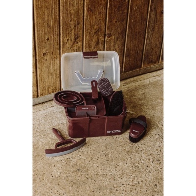 Conjunto de escovas e pentes castanhos organizados em caixa transparente com texto HIPPO TONIC