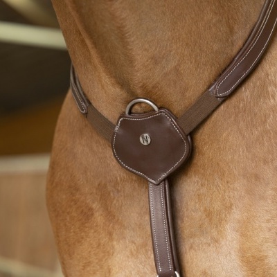 Arreio de couro castanho escuro com medalha num cavalo castanho