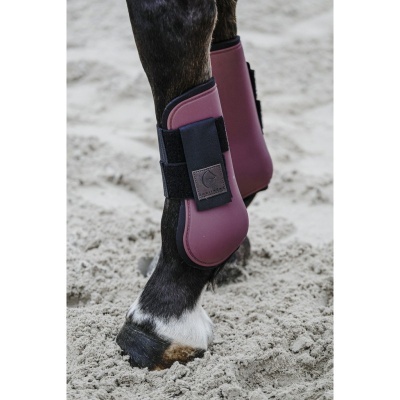 Perneiras de proteção vinho com velcro preto nas patas dianteiras de um cavalo na areia