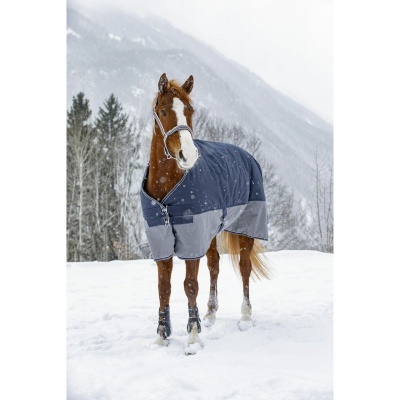 Cavalo com manta impermeável azul e cinzenta na neve