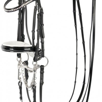 Freio para cavalo em couro preto com acolchoamento branco e detalhes em metal