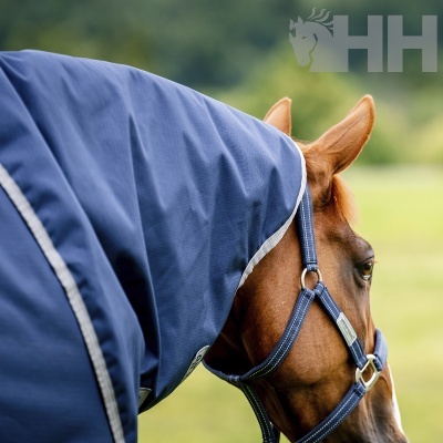 Cavalo castanho com focinheira e cobertor azuis, fundo natural desfocado