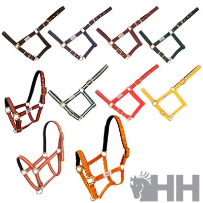 Conjunto de cabrestos de nylon de várias cores com fivelas metálicas e logotipo HH