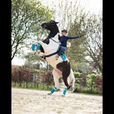 Pessoa a montar cavalo preto e branco com proteções azuis