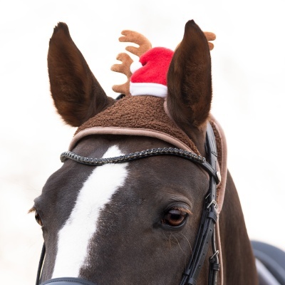 Cavalo com venda natalícia castanha e gorro vermelho e branco com chifres