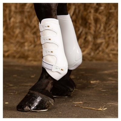 Protector branco para perna de cavalo com fechos metálicos em cavalo preto
