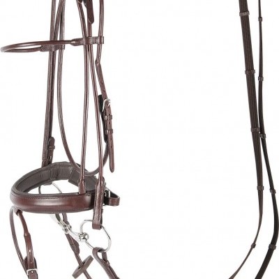 Freio completo para cavalo em pele castanha com detalhes metálicos