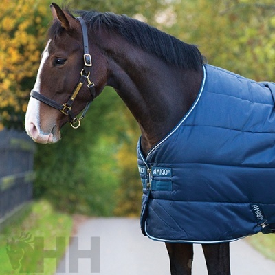 Cavalo com manta azul acolchoada ao ar livre