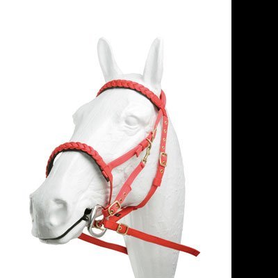 Cabresto vermelho trançado para cavalo num manequim branco.