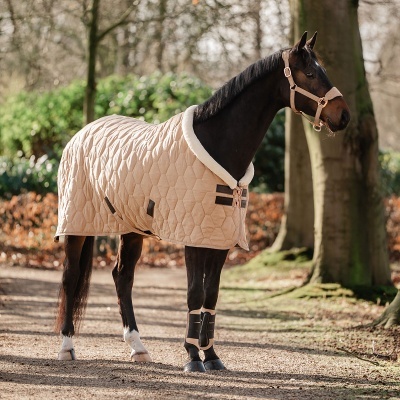 Cavalo com manta acolchoada bege e cabresto bege num caminho de floresta
