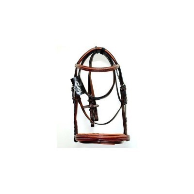 Freio e cabresto de couro castanho com insígnia JULIUS