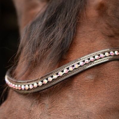 Peitoral castanho com pedras brilhantes em cavalo castanho