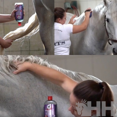 Mulher aplicando shampoo SCHWARZKOPF SCHAMPOO roxo com tampa vermelha na cauda e no corpo de cavalo branco.