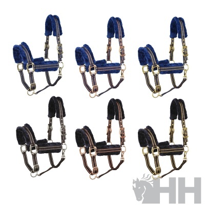 Seis cabrestos para cavalo em azul e preto com detalhes metálicos e almofadas macias