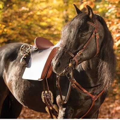 Cavalo preto com sela de couro castanha ao ar livre