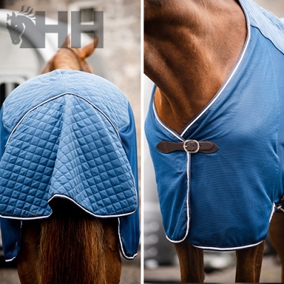 Cavalo vestido com manta azul clara acolchoada, vista traseira e frontal