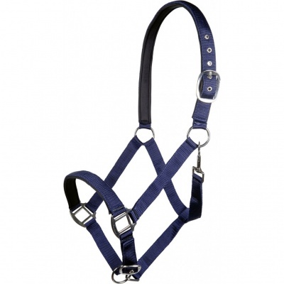 Cabezada azul escura para cavalo com fivelas metálicas