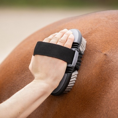 Escova para animais com cabo elástico usado sobre pelagem castanha