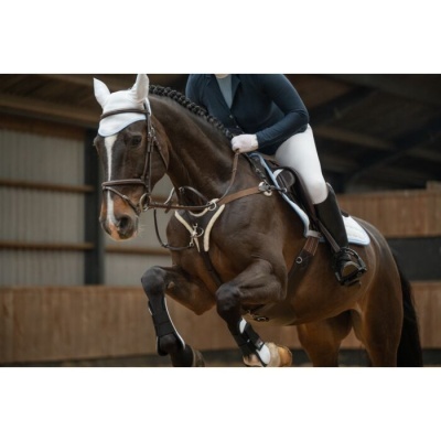 Cavalo castanho com equipamentos de equitação e cavaleiro em picadeiro coberto