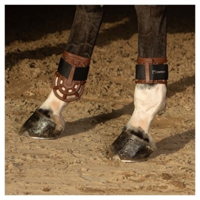 Patas dianteiras de cavalo com proteções castanhas e pretas em areia