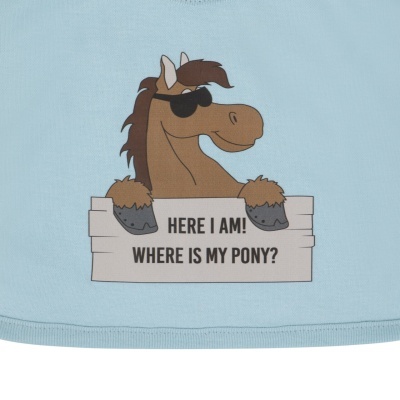 Pano azul claro com ilustração de cavalo castanho e texto em inglês