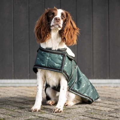 Cão branco e castanho com casaco verde de padrão de ossos, sentado num chão de pedra