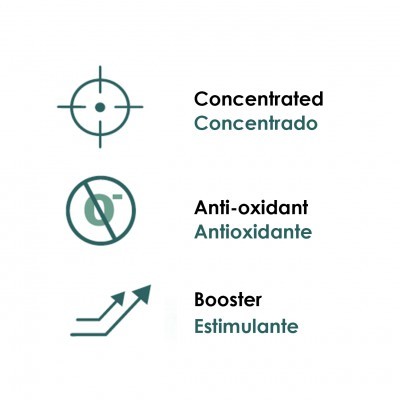 Ícones e texto sobre concentração, antioxidante e estimulante em inglês e português
