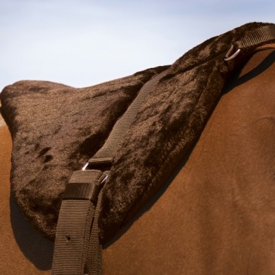 Almofada de sela castanha escura em cavalo castanho claro