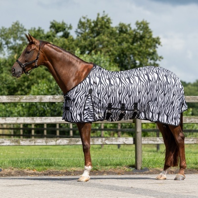 Cavalo com manta zebra preta e branca junto a vedação externa