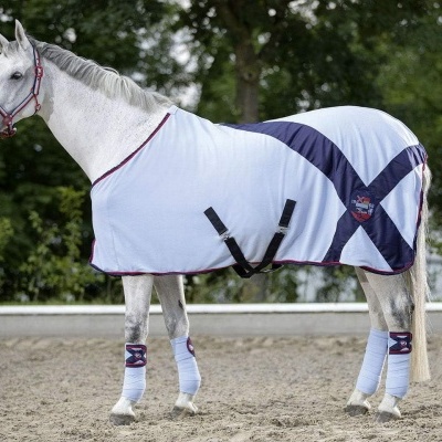 Cavalo branco com manta e proteções brancas e azuis