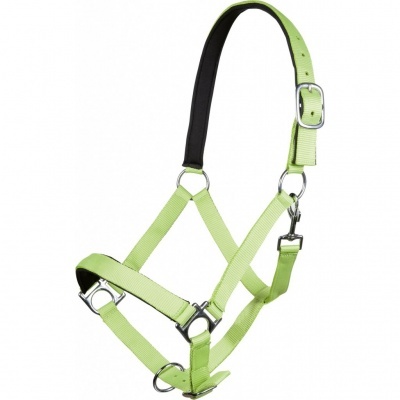 Cabeçada para animal em nylon verde claro com fivelas metálicas