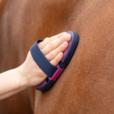 Escova roxa e azul para cavalo com alça a ser usada numa mão em pelo castanho