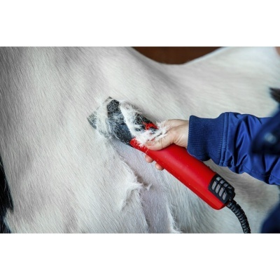 Pessoa a tosquiar pelo de animal com máquina vermelha