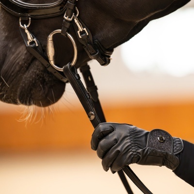 Mão com luva preta segurando rédea de couro ligada a bridão em cavalo preto