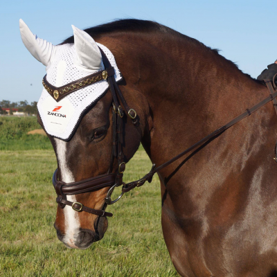 Cavalo com touca branca e cabeçada de couro castanho no campo