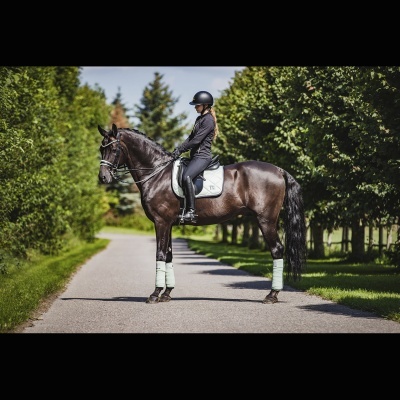 Cavaleira montada num cavalo castanho escuro numa estrada rodeada por árvores verdes